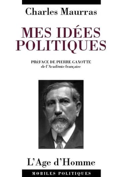 Mes idees politiques