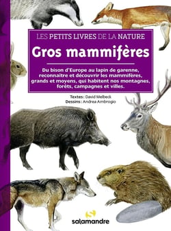 Gros mammifères