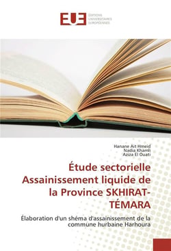 Etude sectorielle assainissement liquide de la province skhirat-temara
