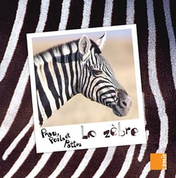 PEAU, POILS ET PATTES : le zèbre