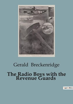 The Radio Boys with the Revenue Guards : Unveiling Secrets: The Radio Boys' Adventure with the Revenue Guards