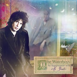 An Appointment With Mr Yeats - Vinyle
