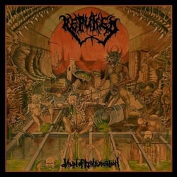 Dawn Of Reintoxication