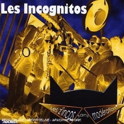 Les Z'Incos Sans Moderation