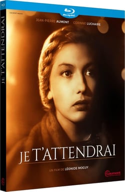 Je t'attendrai
