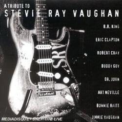 A tribute to stevie Ray Vaughan