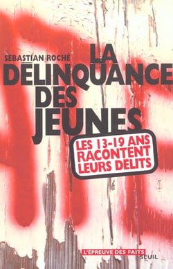 La délinquance des jeunes - les 13-19 ans racontent leurs délits