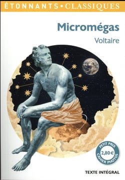 Micromégas