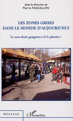 Les zones grises dans le monde d'aujourd'hui - le non droit gangrène-t-il la planète ?