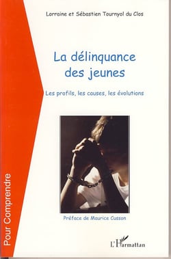 Les délinquance des jeunes - les profils, les causes, les évolutions