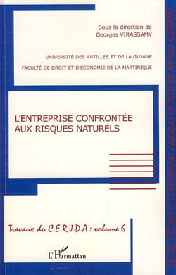 Travaux du C.E.R.J.D.A t.6 - l'entreprise confrontée aux risques naturels