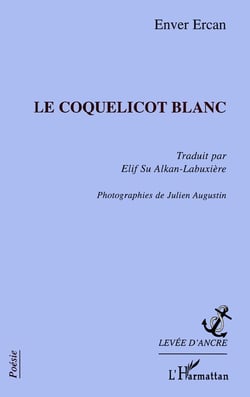 Coquelicot blanc