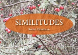 Similitudes