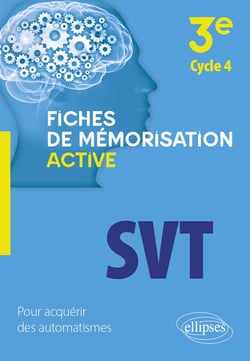 SVT : 3e cycle 4