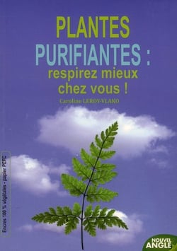 Plantes purifiantes : respirez mieux chez vous !