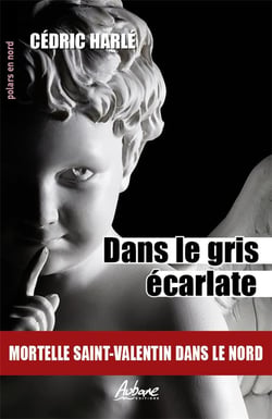Dans le gris écarlate : Mortelle Saint-Valentin dans le Nord