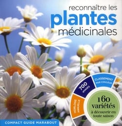 Reconnaître les plantes médicinales