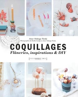 Coquillages - flâneries et inspirations et DIY