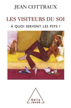 Les visiteurs du soi - à quoi servent les psys ?