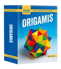 Mon année en 365 jours - 2026 - Origamis