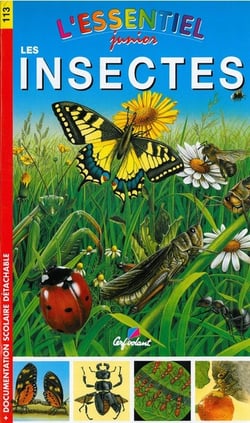 Les insectes