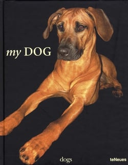 Dog (my)