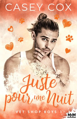 Vet Shop Boys Tome 1 : Juste pour une nuit