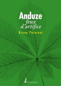 Anduze : feux d'artifice