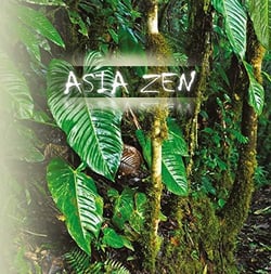 Asia zen 2019