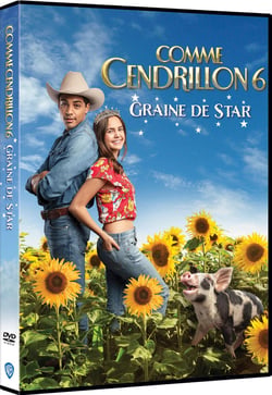 Comme Cendrillon 6 : Des étoiles plein des yeux
