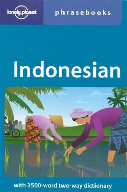 Indonesian Phrasebook 5ed -anglais-
