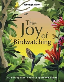 The Joy of Birdwatching: 60 birding experiences to uplift and inspire