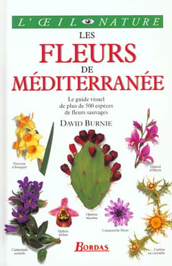 Les fleurs mediterraneennes