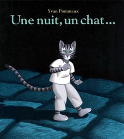 Une nuit, un chat...