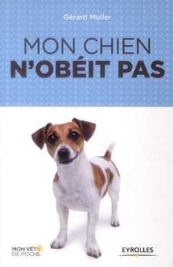 Mon chien n'obéit pas