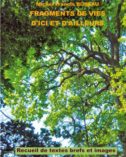 Fragments de vies d'ici et d'ailleurs - recueil de textes brefs et images