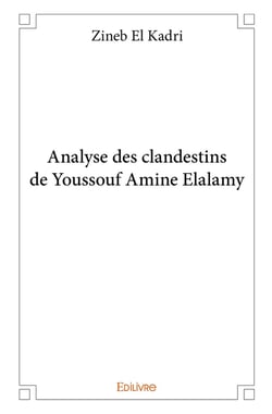 Analyse des clandestins de Youssouf Amine Elalamy