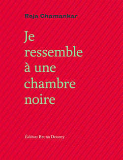 Je ressembleàa une chambre noire