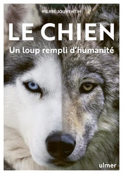Le chien, un loup rempli d'humanité