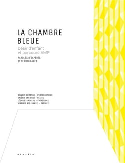 La chambre bleue : désir d'enfant et parcours AMP, paroles d'experts et témoignages.
