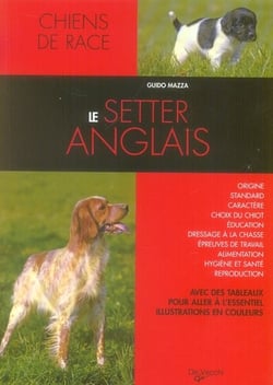 Le setter anglais