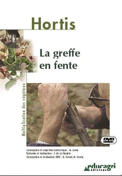 La greffe en fente