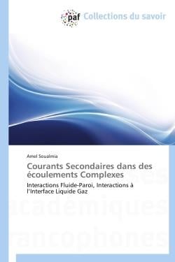 Courants secondaires dans des écoulements complexes - interactions fluide-paroi, interactions à l'interface liquide gaz