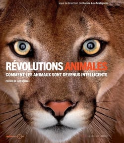 Révolutions animales - comment les animaux sont devenus intelligents