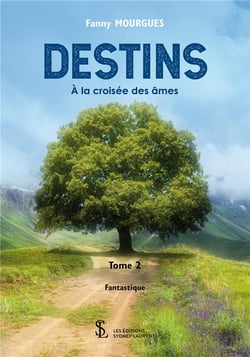 Destins t.2 - à la croisée des âmes