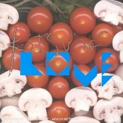 Kitsuné Love