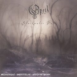 Blackwater park