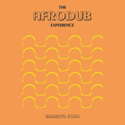 The Afrodub Experience