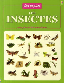 Les insectes - avec plus de 100 autocollants - sur la piste