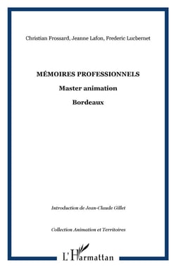 Mémoires professionnels - master - animation Bordeaux